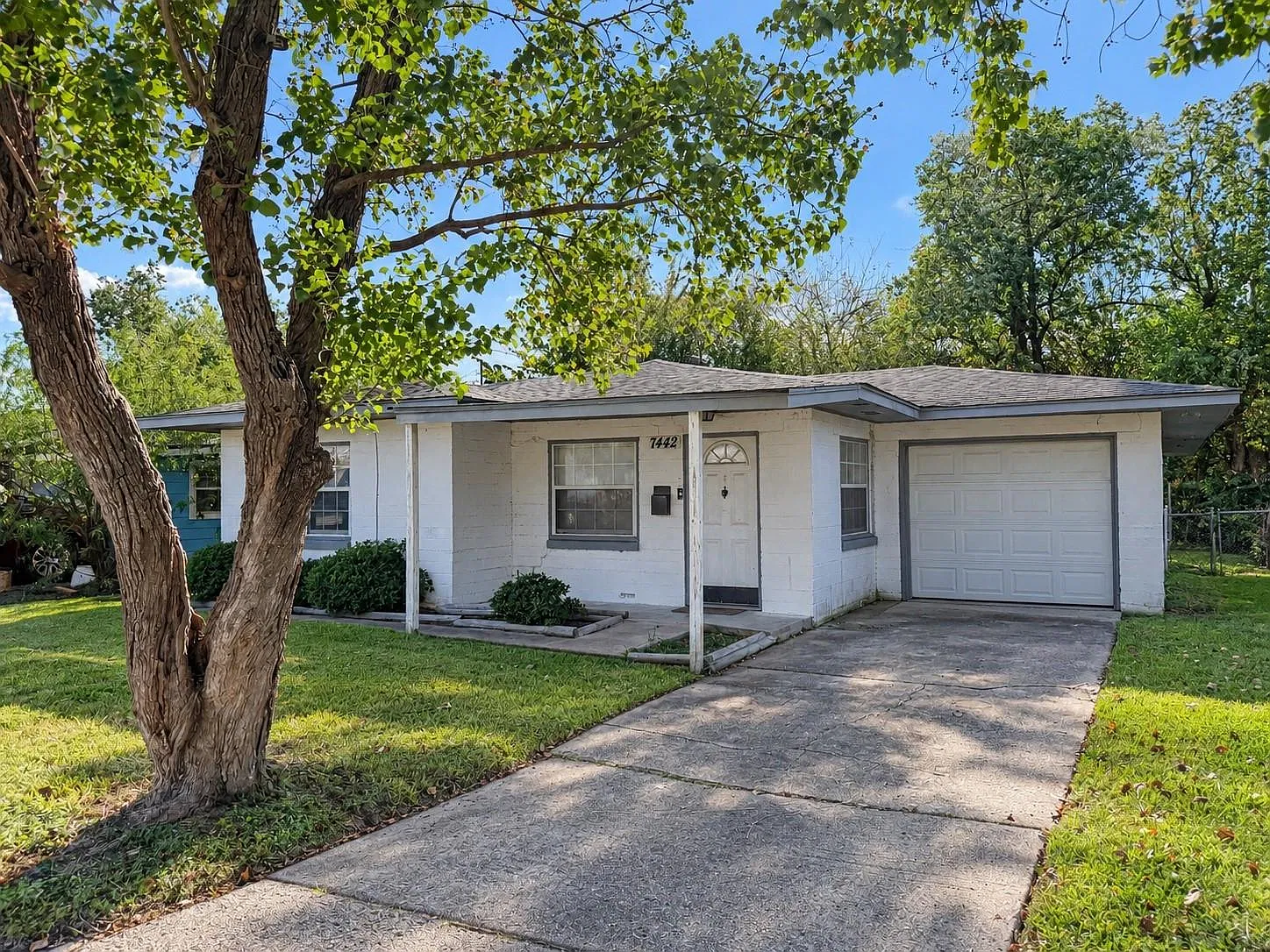 2 bed, 1.0 bath, 896 sqft, $1,300 — Photo 3