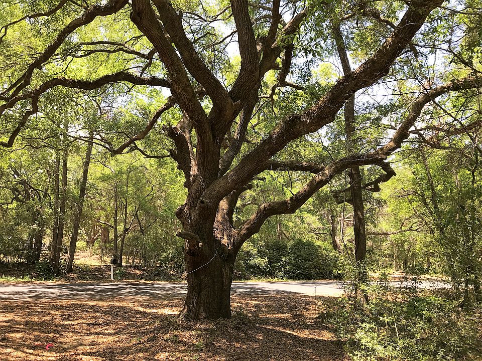 2nd image of 2600 Cherry Point Rd #Land