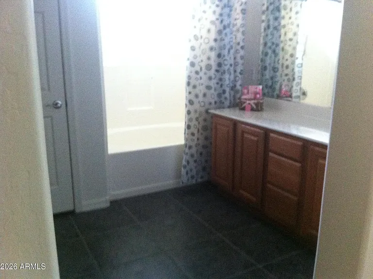24903 W Illini St — Photo 8