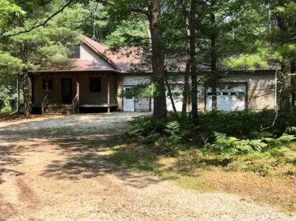 8641 N Squaw Lake Rd, Irons, MI 49644