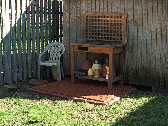 back yard