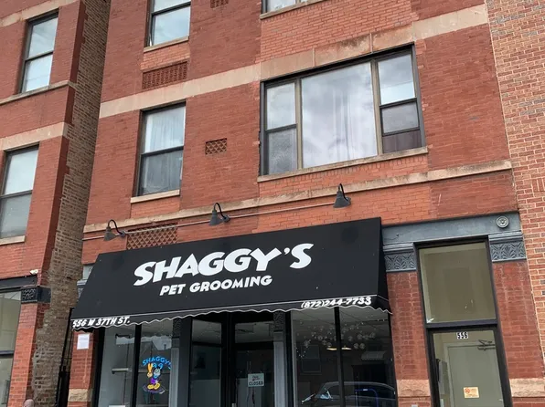 556 W 37th St, Chicago, IL