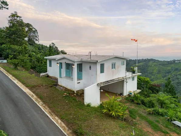 Carr 802 Km 2.5 Finca C Bo Mana, Corozal, PR 00783