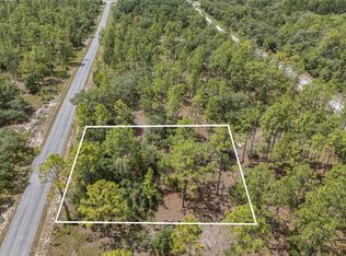 SW 134th Ter, Dunnellon, FL 34431