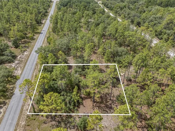 SW 134th Ter, Dunnellon, FL 34431