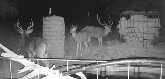 2nd image of 3180 County Road 551