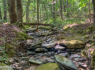 Willie Boyatt Rd, Oneida, TN 37841