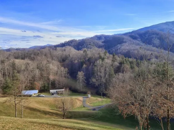 111 J D Whitehead Rd, Roan Mountain, TN 37687