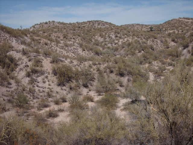 2nd image of 30080 NW US Hwy 60 Highway #0