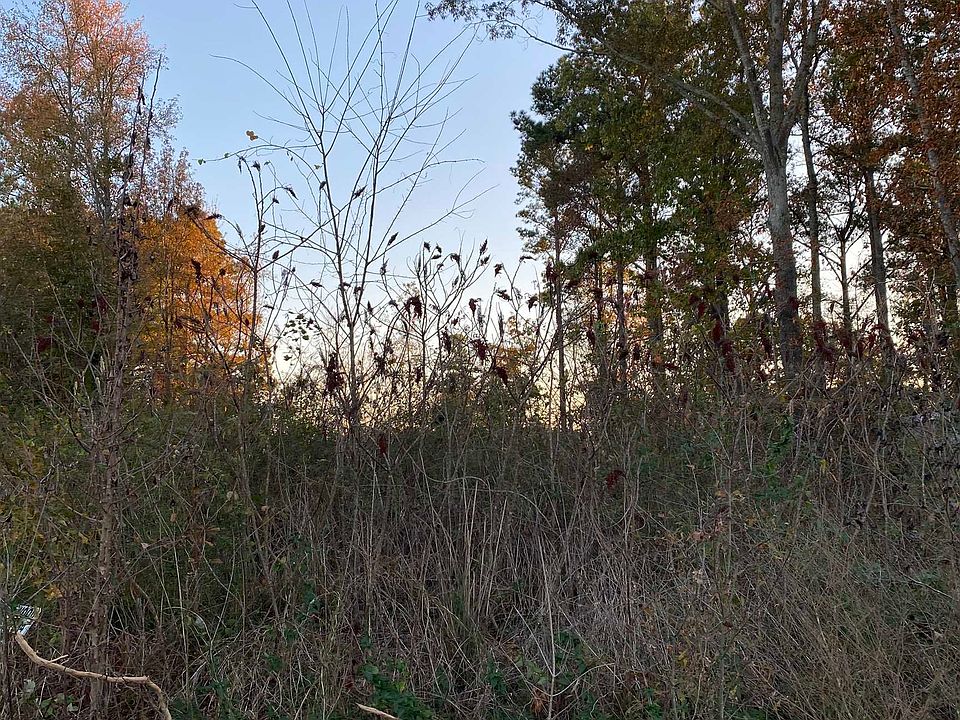 2nd image of 1091 County Road 1402
