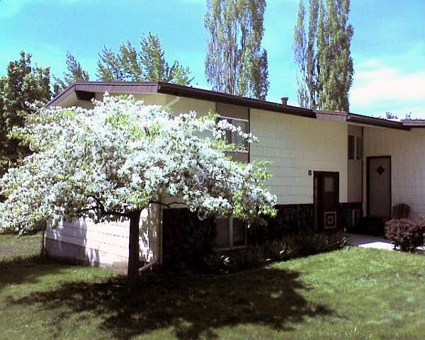 Front Yard Flowering Tree