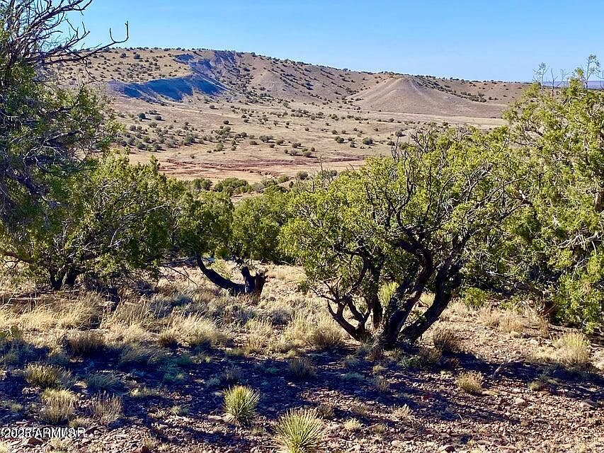1st image of TBD Co Rd 5062 Lot 1 3.53 Acres -- #-