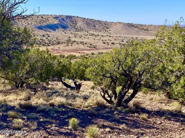 TBD Co Rd 5062 Lot 1 3.53 Acres -- #-, Concho, AZ 85924