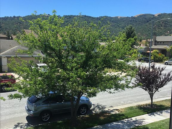 3rd image of 745 Wisteria Dr
