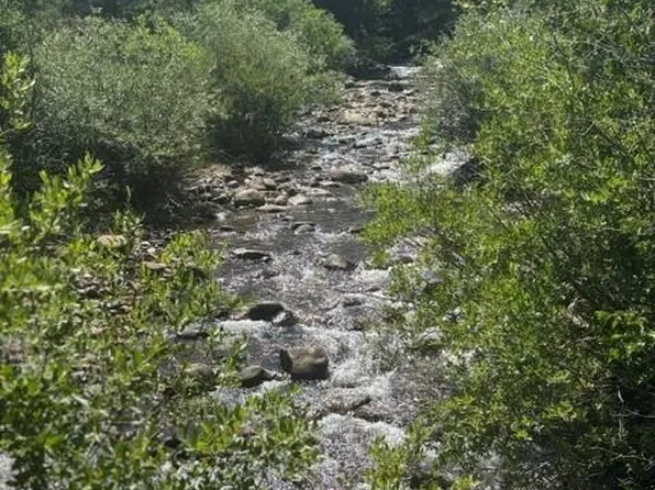 105 Caribou Street, Nederland, CO 80466