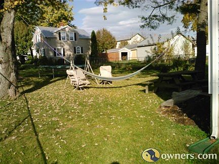 Chain linked fenced back yard