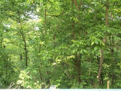 LOT 67 Horseshoe Farm Rd, Pembroke, VA, 24136