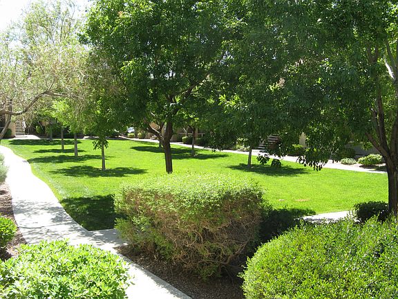 View from Balcony
