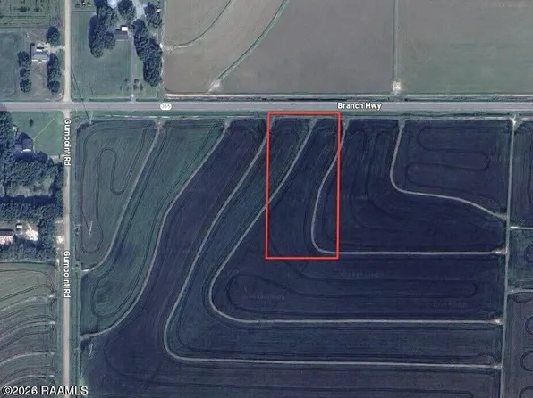 0 Branch Hwy Lot 4, Branch, LA 70516