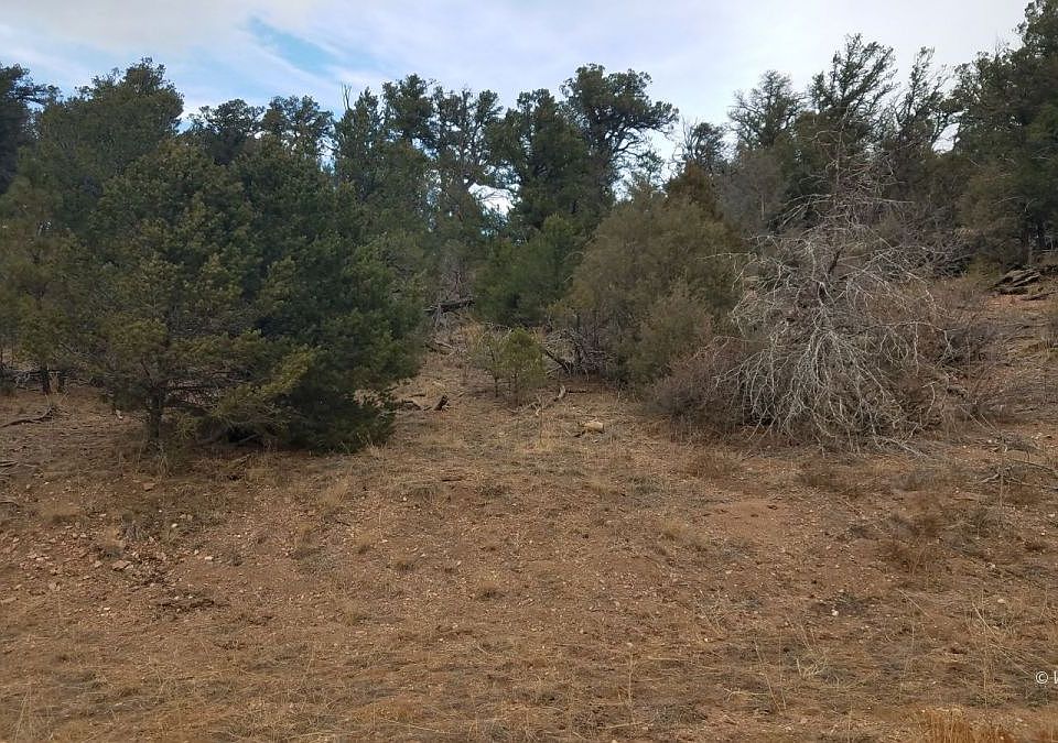 1st image of 1515 Owens Ln