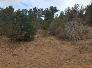 1515 Owens Ln, Cotopaxi, CO 81223