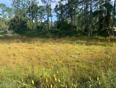 124 PINESHORE Road, Satsuma, FL, 32189