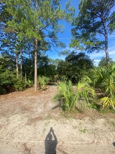 74 Westview St, Panacea, FL, 32346
