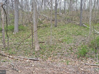 Saunders Dr, Falling Waters, WV, 25419