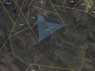 3720 Woody Rd, Hartford, TN 37753