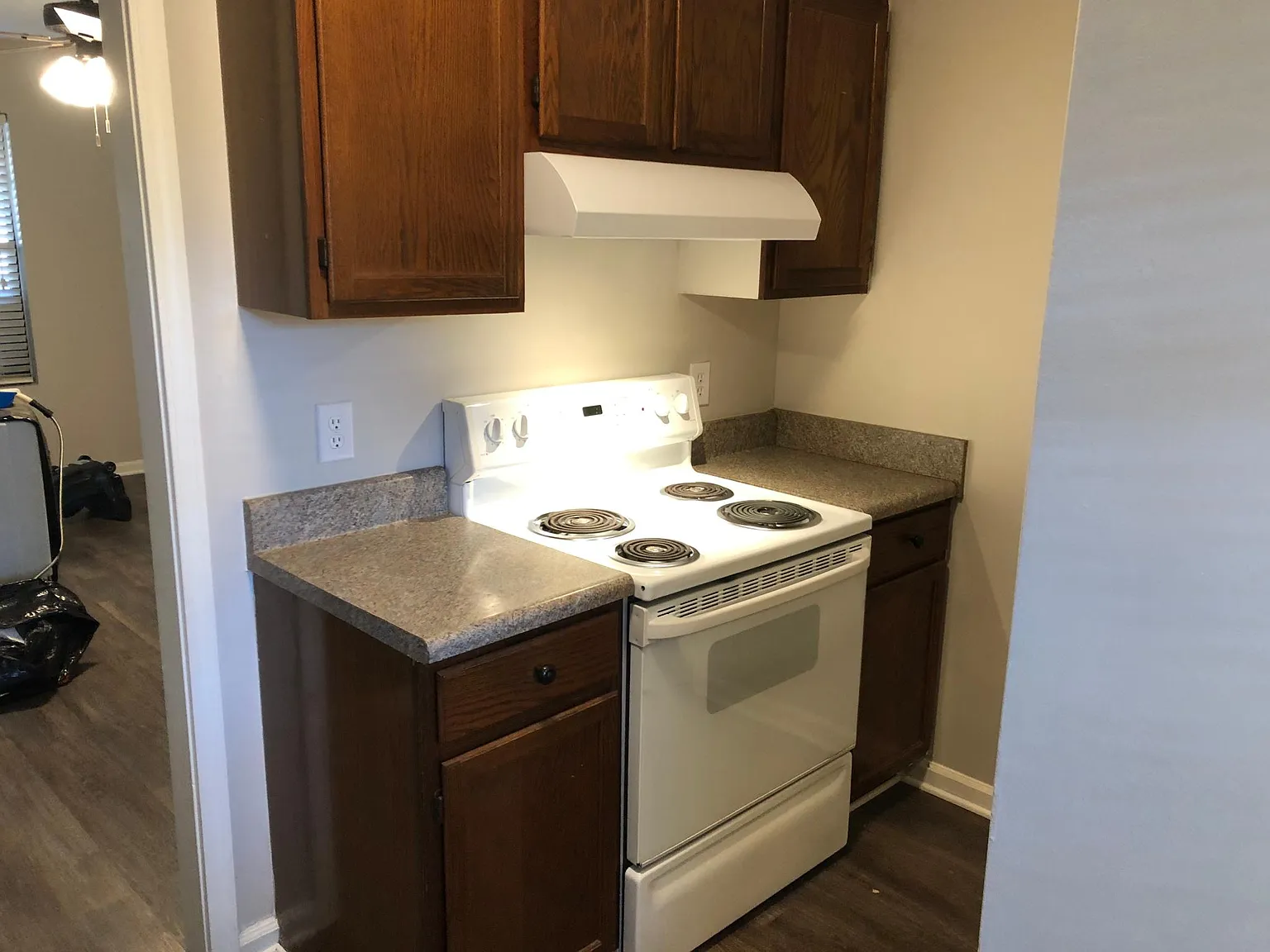 2 bed, 1000 sqft, $1,250 — Photo 3