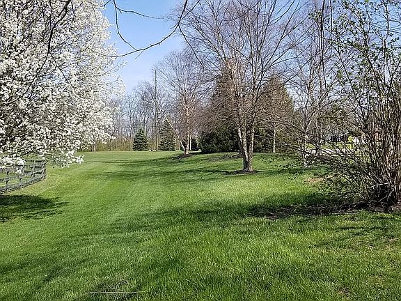 greenspace behind house