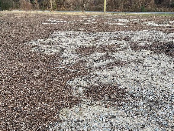 5th image of 316 Bayview Road