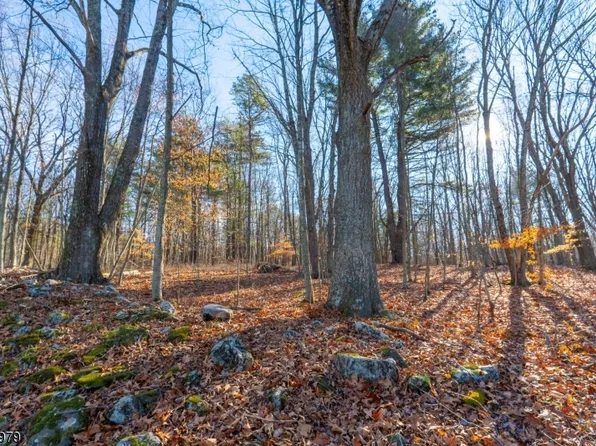 4-12 Meyers Rd, Sandyston Twp., NJ 07826