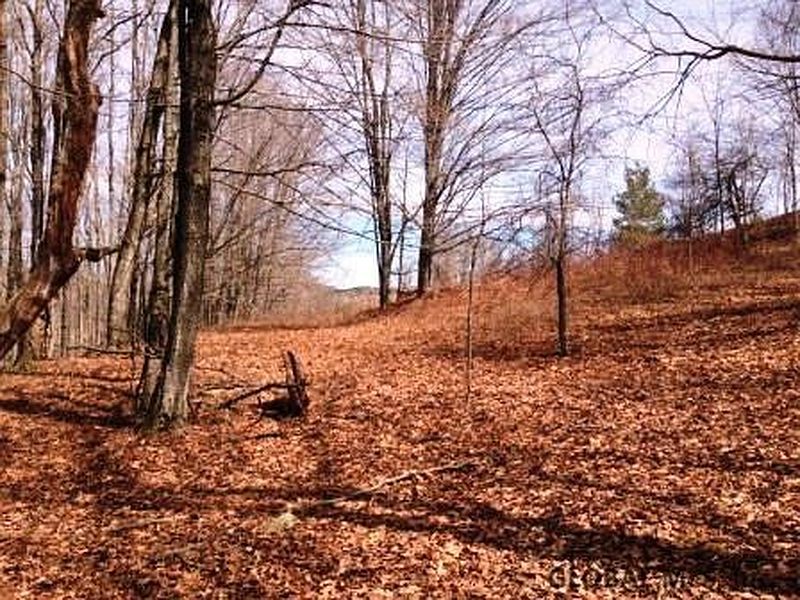 3rd image of CHARLOTTE VALLEY Road