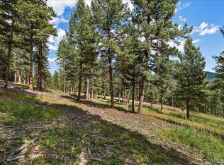 7313 Plowsher Way, Morrison, CO 80465