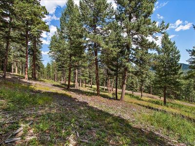 7313 Plowsher Way, Morrison, CO, 80465