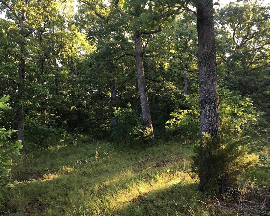 1234 County Road 39 Ironton MO Zillow