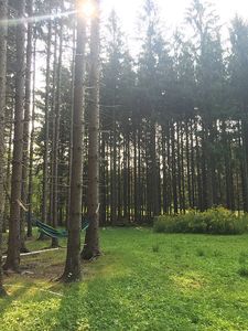 664 Bush Hill Rd, Franklinville, NY, 14737