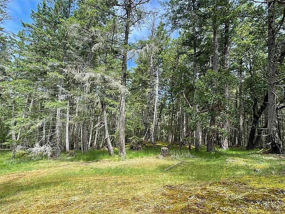 2nd image of LOT 2 Driftwood Dr