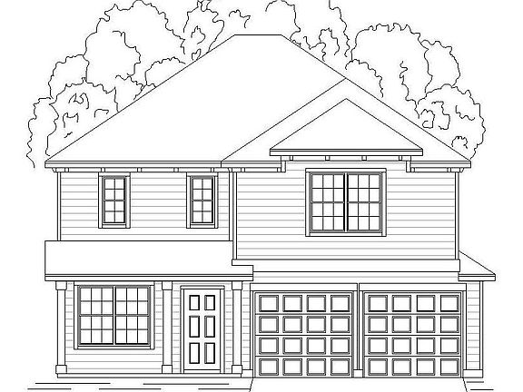 Hazel with Elevation N