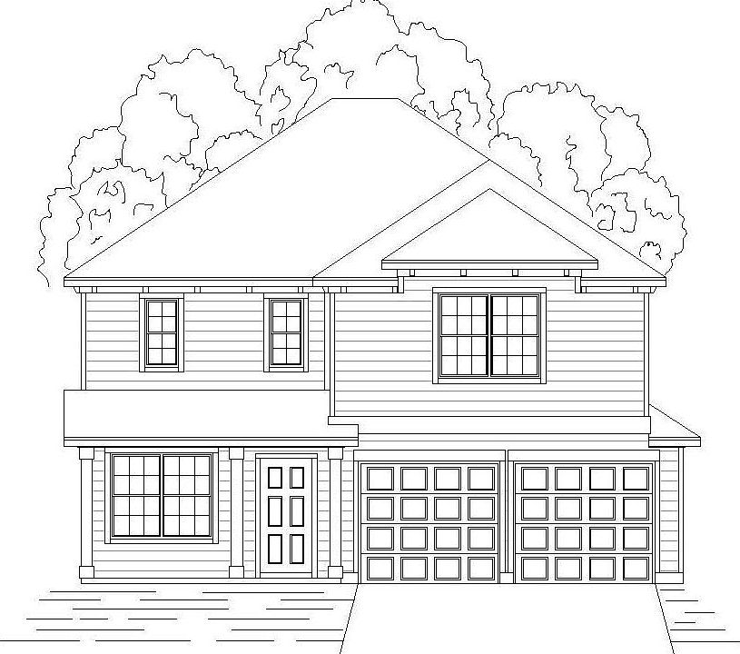 Hazel with Elevation N