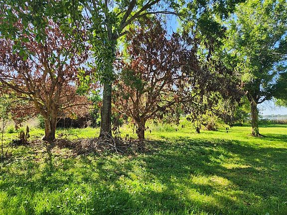 3rd image of 3898 & 3910 W WASHINGTON STREET LOT 2