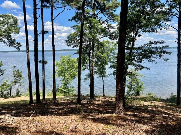171 S Lakeview Ter, Abbeville, AL 36310