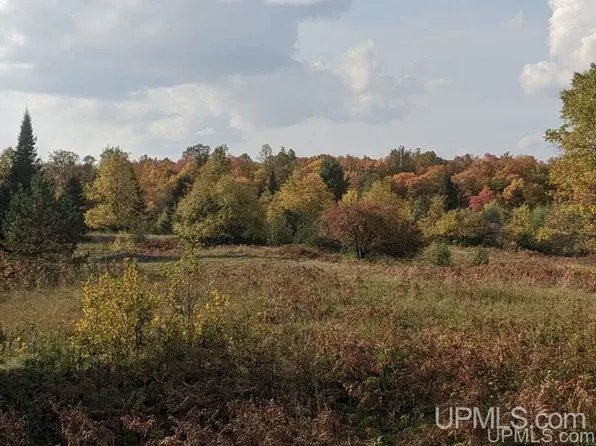 N Iron Lake Rd, Iron River, MI 49935