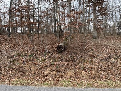 4 Argyll Dr, Bella Vista, AR, 72715