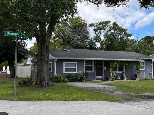 8602 N Orangeview Ave, Tampa, FL 33617