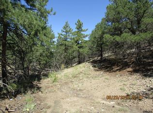 595 Sunset Trl, Cotopaxi, CO 81223