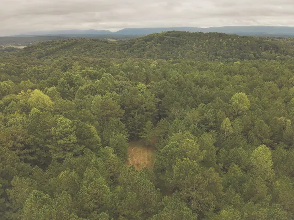 0 Deer Ridge Trl NE, Charleston, TN 37310