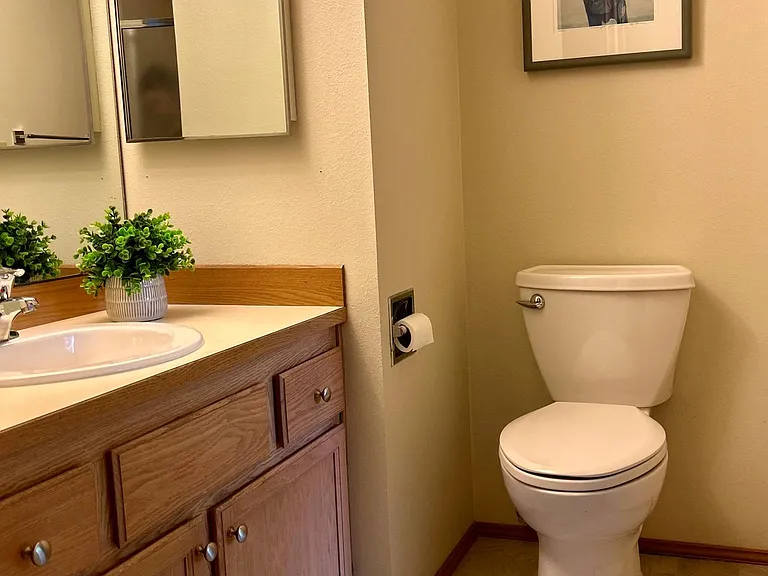 Private bathroom with shower in main bedroom which also includes a walk-in closet.