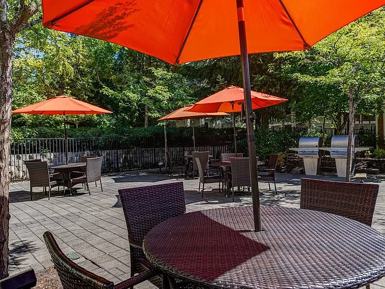 Commons at Verandas in Tanasbourne Apartments — Photo 47